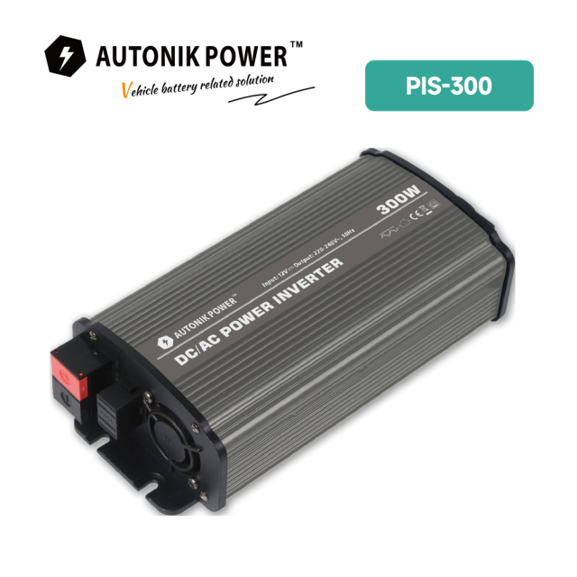 PIS 1000W Puer Sine Wave Inverter