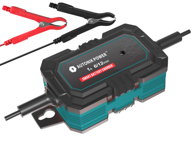 1A Smart Battery Charger (BCD-1000)