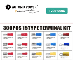 300PCSTerminals Assortment Kit(T205-0006)