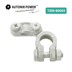 Battery Terminal (T205-B003)