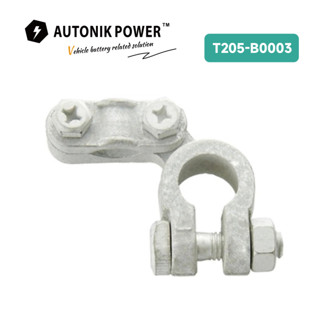 Battery Terminal (T205-B003)