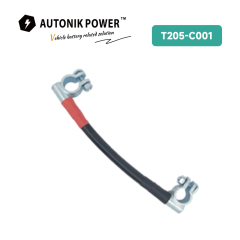 Battery Terminal cable (T205-C001)