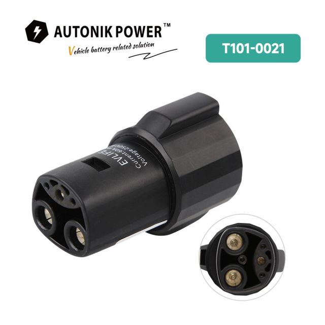 TYPE1-Tesla EV Adapter(T101-0021)