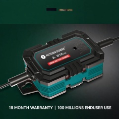 2A Smart Battery Charger 10-Steps(BCD-2000)