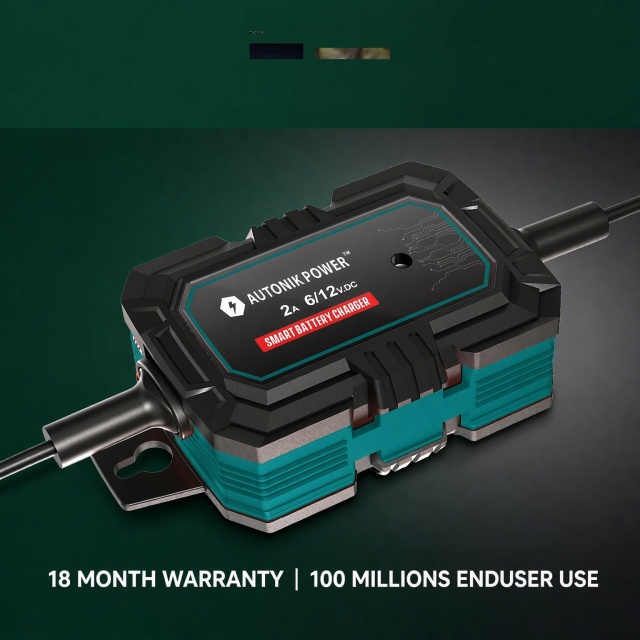 2A Smart Battery Charger 10-Steps(BCD-2000)