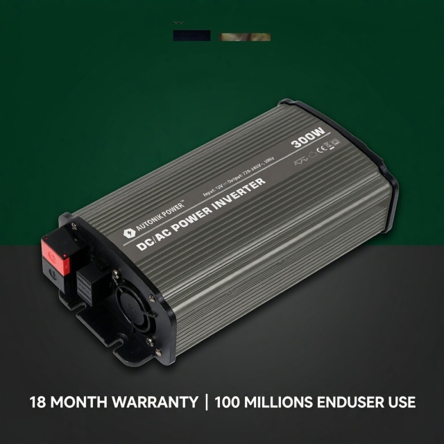 PIS 1000W Puer Sine Wave Inverter