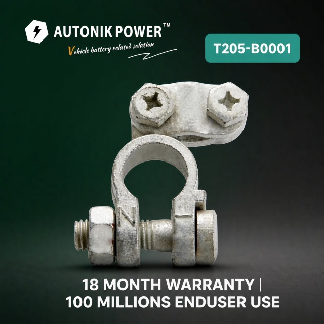 Battery Terminal /Battery Accessories/Terminal Accessories (T205-B003L)