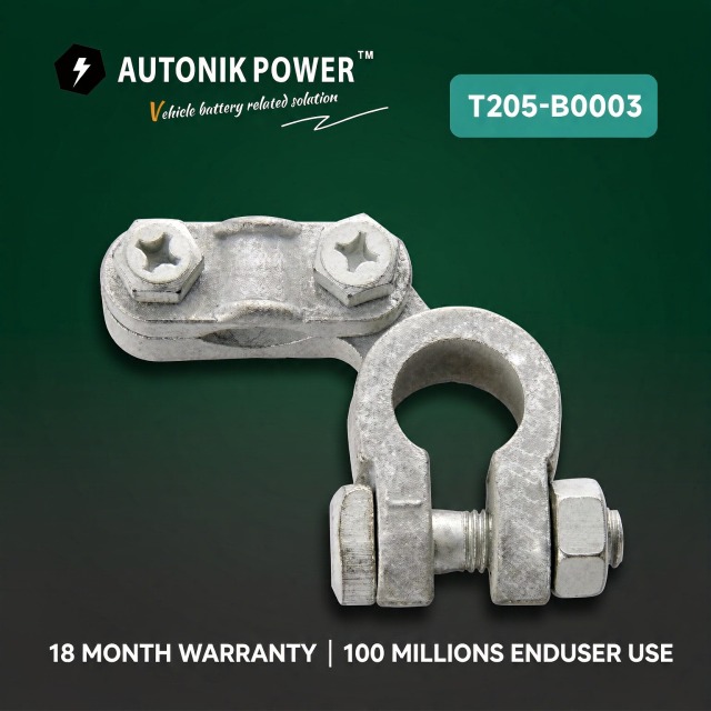 Battery Terminal /Battery Accessories/Terminal Accessories (T205-B004)
