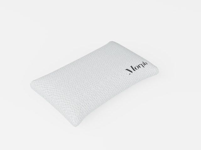 Morph Latex Pillow