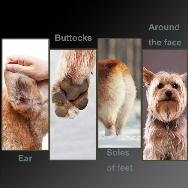 4 in1 Pet Clippers LED Display Electric Cat Dog Hair Nail Grooming Kit-803