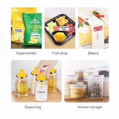 Marklife Mini Portable Sticker Thermal Bluetooth Barcode Label Printer-P12
