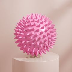 Double Layer Yoga Wheel Foam Roller & 1 Spiked Massage Ball 1 Yoga Ball-07