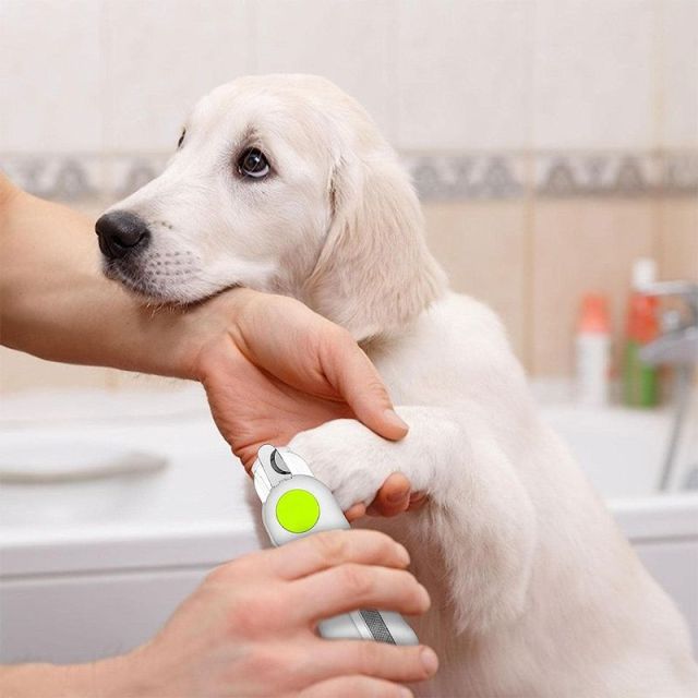Pet Nail Clippers with LED Light Dog Nail Grinder Dog Cat Cutter-1