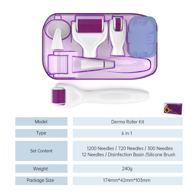 The newest microneedle titanium dermaroller kit 6 in 1 set