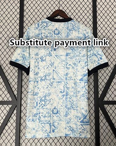 18 Substitute payment link
