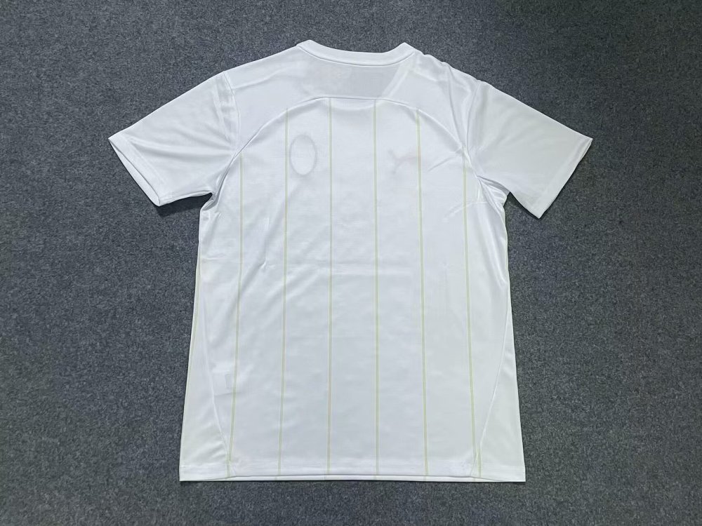 Fan edition size S-2XL 2025 2026 AC Soccer Jerseys 2024  2025 AC Football Shirt Jerseys  jersey Football jersey