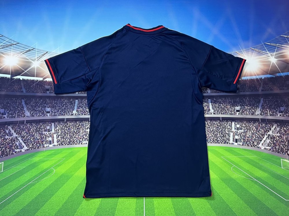 Fan edition size S-2XL 2025 2026 Lyon Soccer Jerseys 2024  2025 Lyon Football Shirt Jerseys  jersey Football jersey