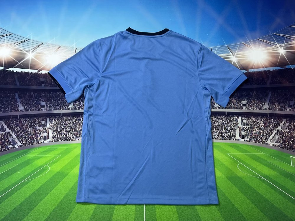Fan edition size S-2XL 2025 2026 Netherlands Soccer Jerseys 2024  2025 Netherlands Football Shirt Jerseys  jersey Football jersey
