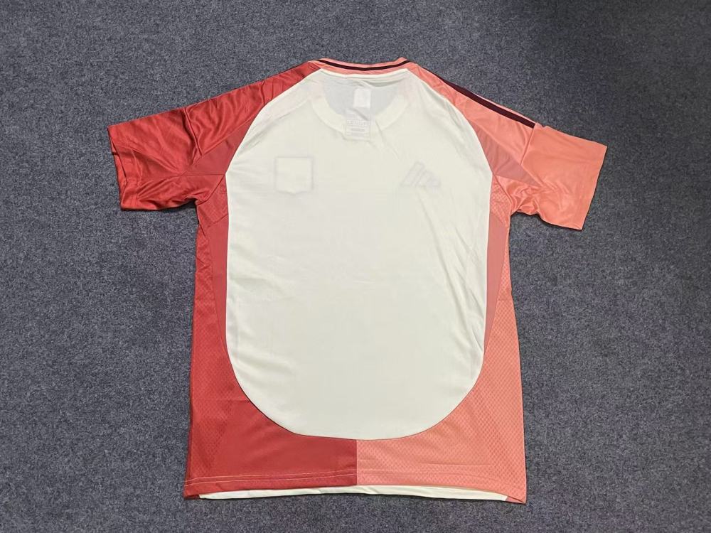 Fan edition size S-2XL 2025 2026 Lyon Soccer Jerseys 2024  2025 Lyon Football Shirt Jerseys  jersey Football jersey