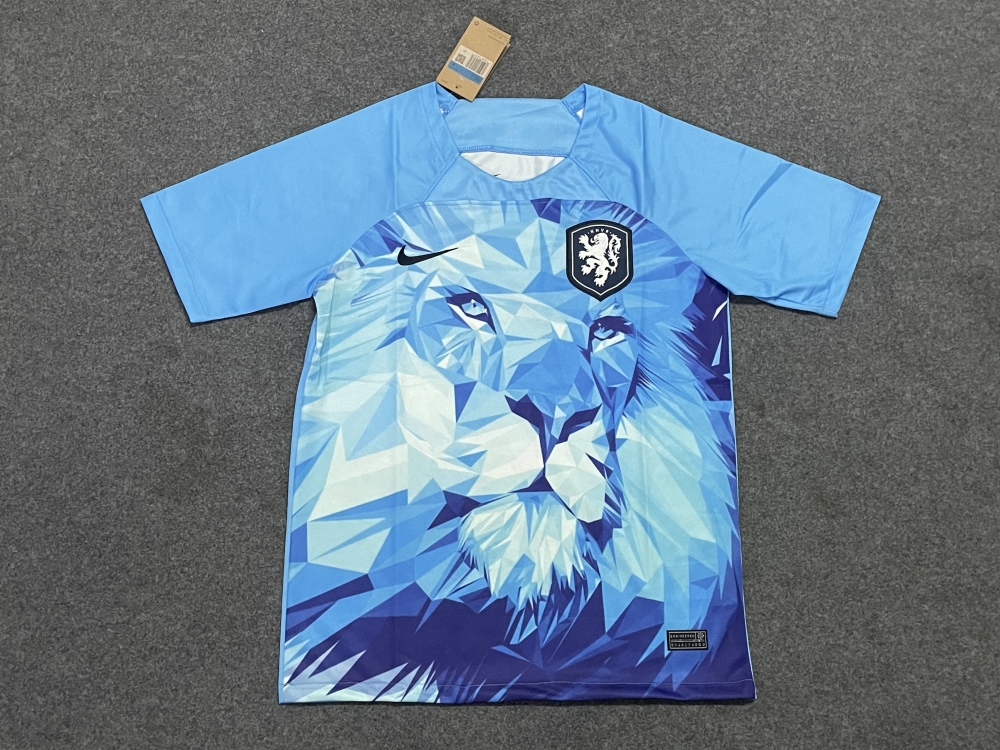 Fan edition size S-2XL 2025 2026 Netherlands Soccer Jerseys 2024  2025 Netherlands Football Shirt Jerseys  jersey Football jersey