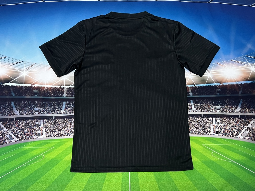 Fan edition size S-2XL 2025 2026 Germany Soccer Jerseys 2024  2025 Germany Football Shirt Jerseys  jersey Football jersey