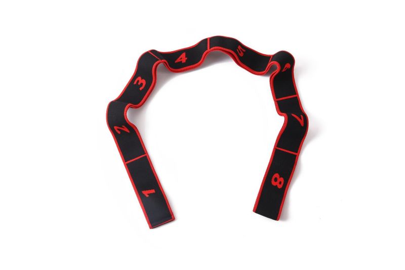 Yoga Strap and Resistance Bands with 8 Loops for Stretching and Physical Therapy