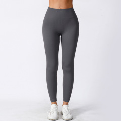 Women‘s Yoga Leggings Ribbed Seamless Workout High Waist Athletic Exercise