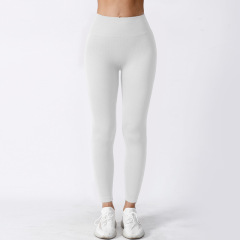 Women‘s Yoga Leggings Ribbed Seamless Workout High Waist Athletic Exercise