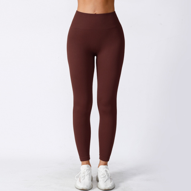 Women‘s Yoga Leggings Ribbed Seamless Workout High Waist Athletic Exercise