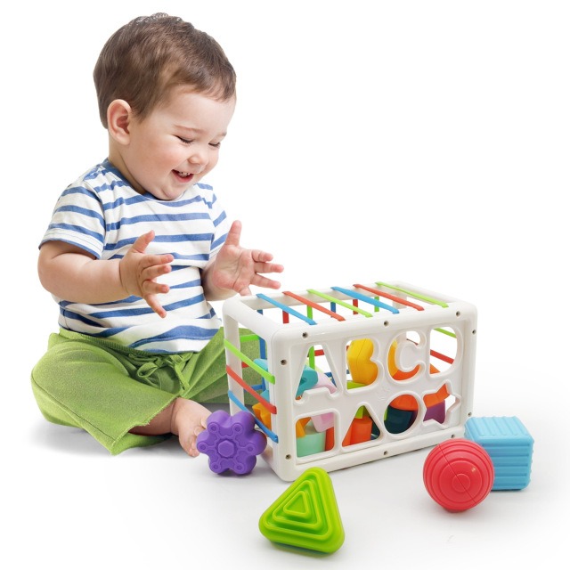 Montessori Toys Baby Sorter Toy Multi Sensory Shape Developmental Learning Toys