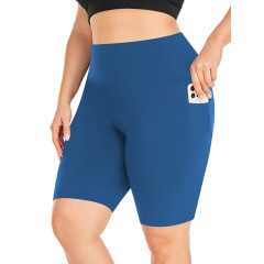 Blue-Pocket