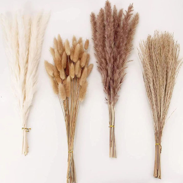 100Pcs Dried Pampas Grass Decor Reed Grass Bouquet Boho Flowers Set