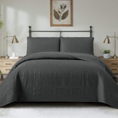 Dark Gray-Double Ring