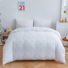 Tufted Bedding Set with Duvet Cover Pillowcases Zippered Brushed Microfiber