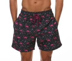 Black Flamingo