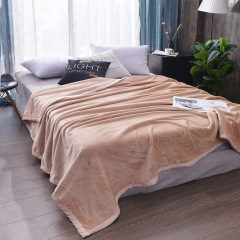 Fleece Bed Blankets Soft Flush Puzzy Solid Color