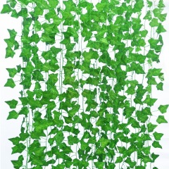 Ivy 12pcs/set