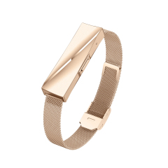 Rose Gold Steel