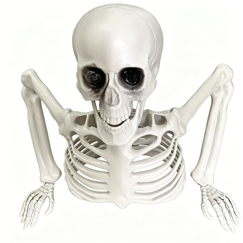Halloween Decorations Skeleton Posable Human Shape Skeleton Halloween Fake Bone Horror Decoration