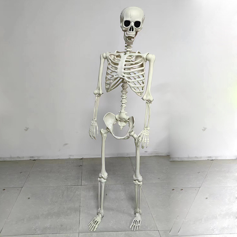 Halloween Decorations Skeleton Posable Human Shape Skeleton Halloween Fake Bone Horror Decoration