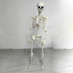 165cm