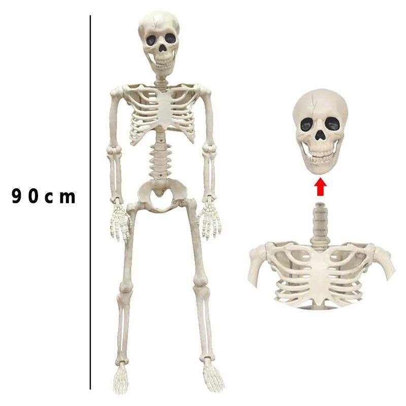 Halloween Decorations Skeleton Posable Human Shape Skeleton Halloween Fake Bone Horror Decoration