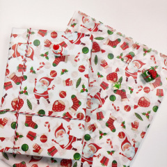 Santa Claus & Gift