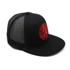 Custom Slight Curved Brim Flat Embroidered Snapback Cap