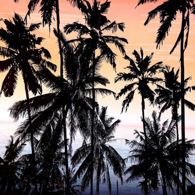 3D Print Tank Top Summer Casual