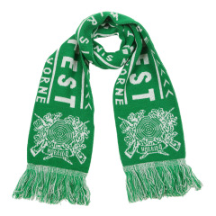 Customized Jacquard Logo Winter  Warm Scarf