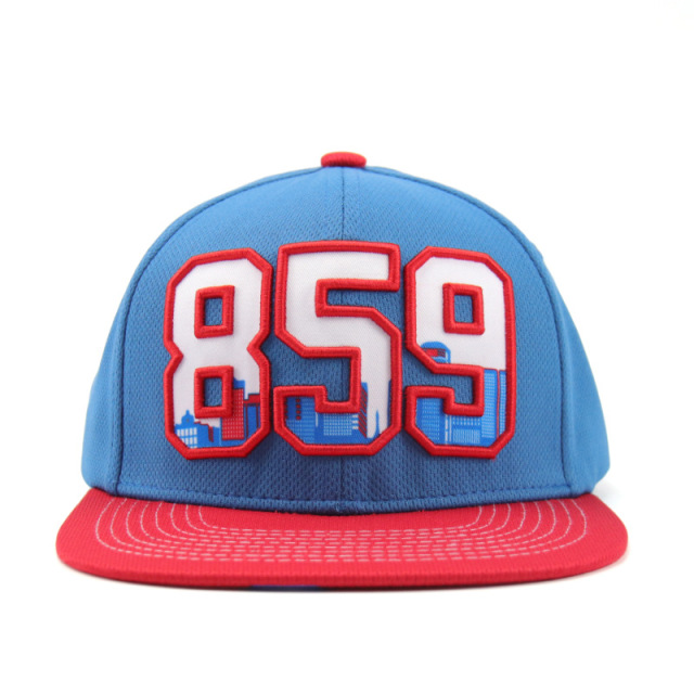 Custom Snapback hat, Letter 3D embroidery Blue and Red color Snapback
