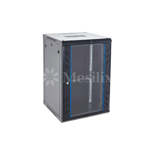 18U Server Rack (Wall Mount)