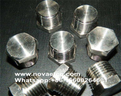 Tapón de tubería de acero inoxidable sólido hexagonal con borde