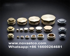 Tapón de tubería de acero inoxidable sólido hexagonal con borde